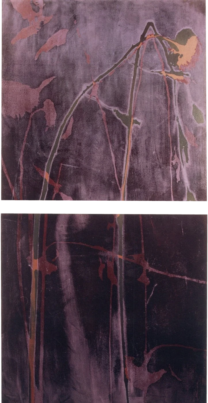Dead Sunflower, 1995 - two stacked panels in dark violet with the thin stalks and leaves of a dried sunflower.