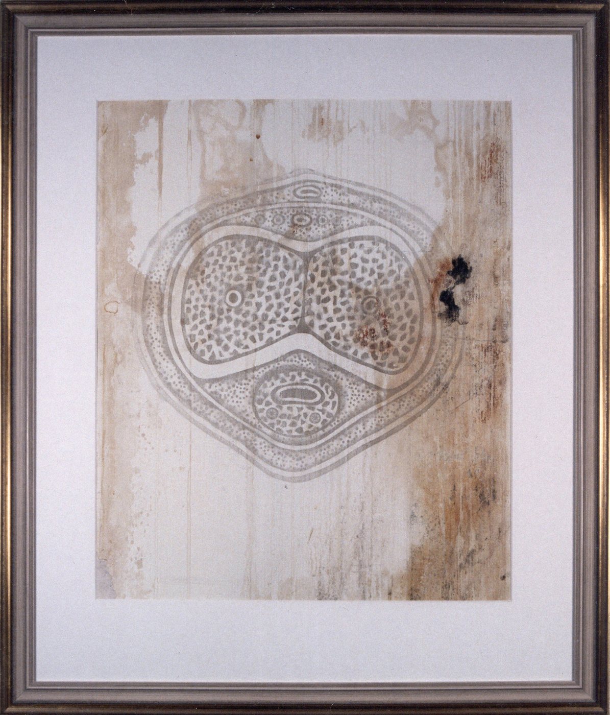Late Fathers Great Fathers, 1990 - a large cell-like oval drawn in fine line over a weathered, stained ground, framed under glass.