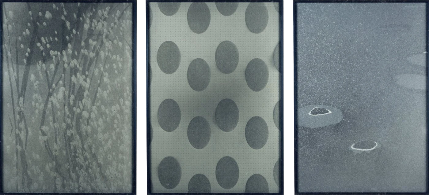 Zwaar Water (D2O Deuterium), 1993 - three framed panels side by side: fine vertical growths, a regular grid of dark ovals, and two small rings on a pale field.