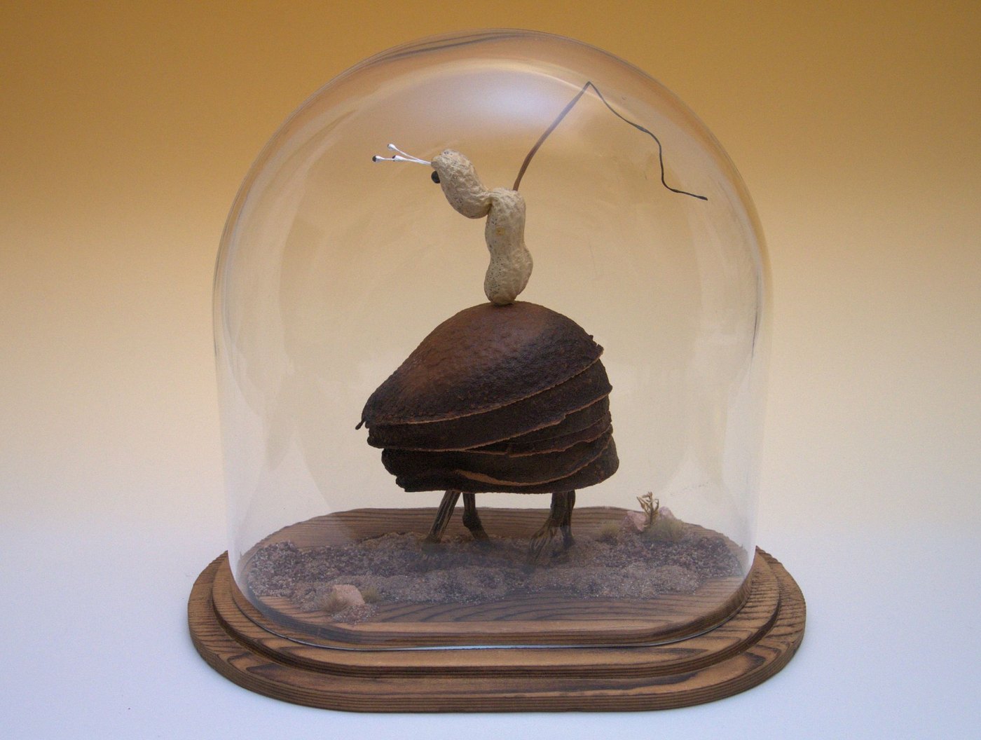 The Pilgrim, 2025 - under a glass dome on a wooden base, a dark layered beetle-like body on thin legs, with a pale peanut-shell figure with antennae standing on its back, holding a long wire.