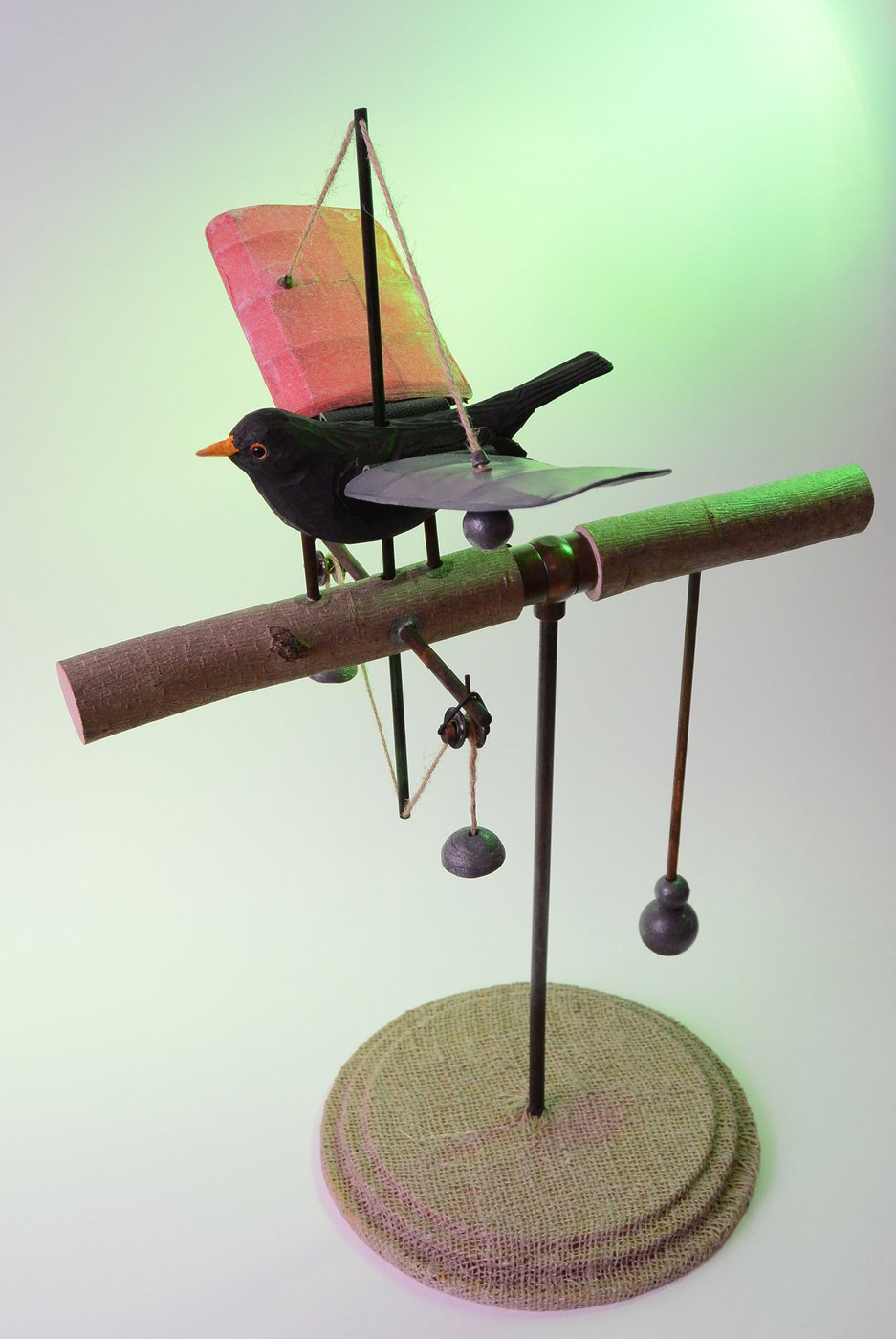 Vitorio Bombelli Research, 2021 - a blackbird mounted on a horizontal rod beside a pink and green panel, small weights hanging beneath, on a round base.